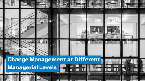 Embedded thumbnail for Change Management at Different Managerial Levels